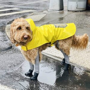 Lightweight Raincoat