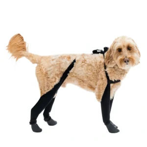 Deluxe Dog Boot Leggings