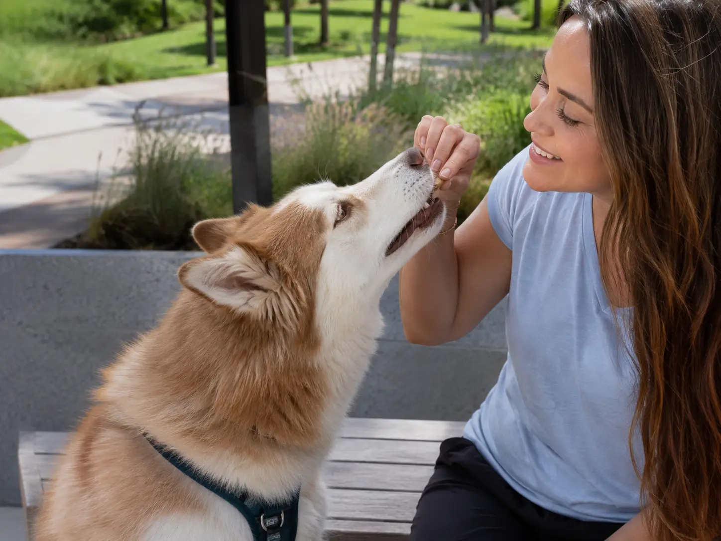 What To Do If Your Dog Won’t Eat Treats When Left Alone