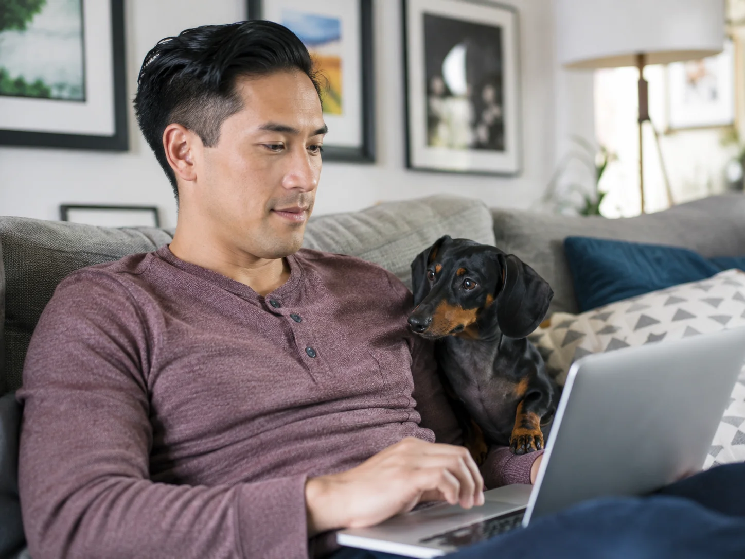 How to Choose the Right Product for This Barking Problem
