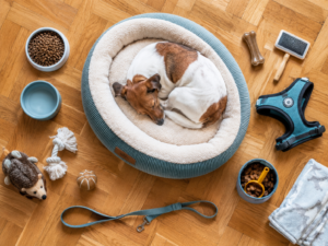 Food Toys for Dog Separation Anxiety: Kong, Lick Mat, or Puzzle Feeder?