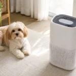 White noise machine used to reduce sound triggers for a dog in an apartment