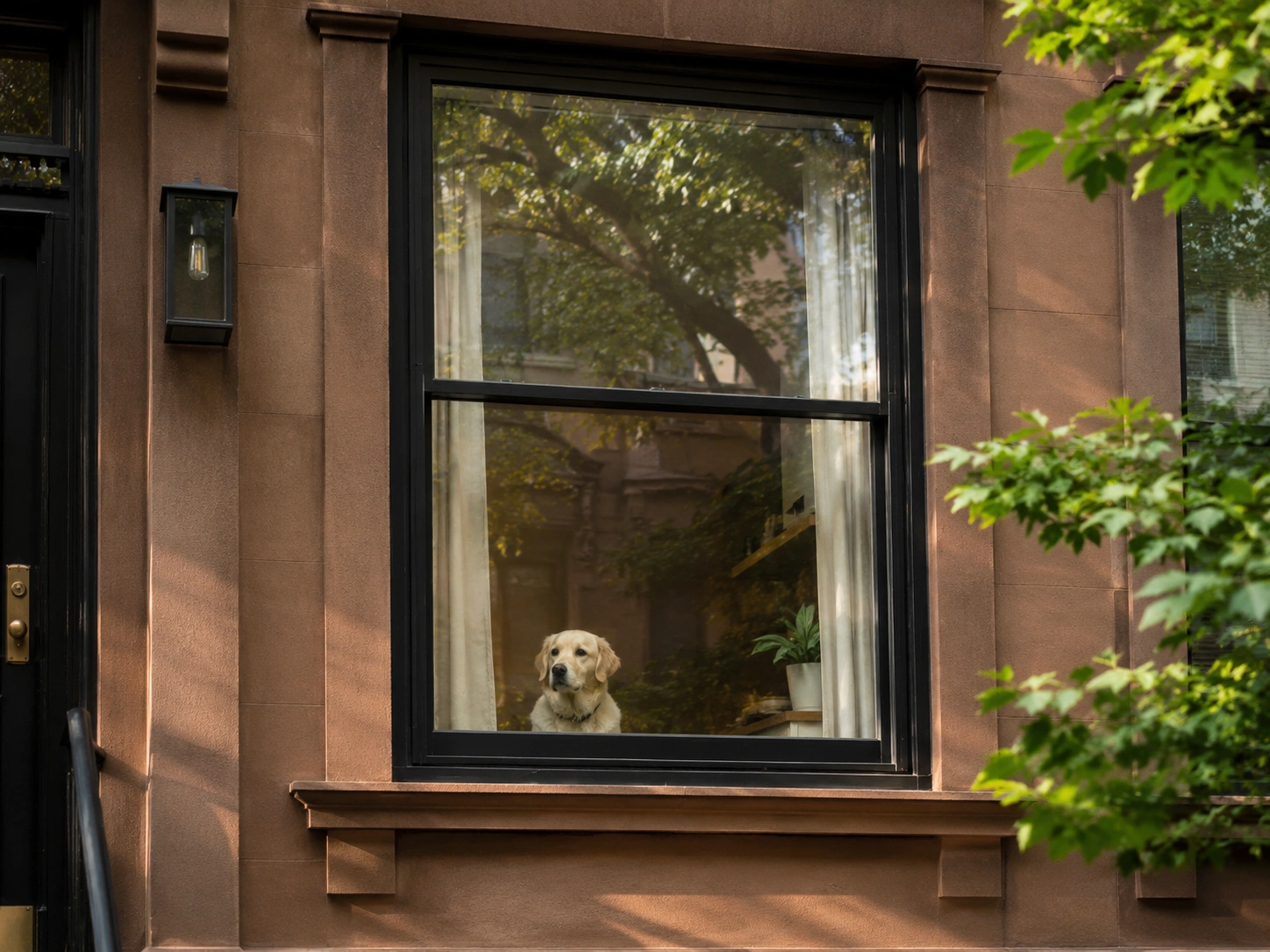 Why Separation Anxiety Can Happen