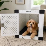 Puppy resting calmly in an open crate during a daytime training session