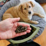 og Separation Anxiety Training Treats