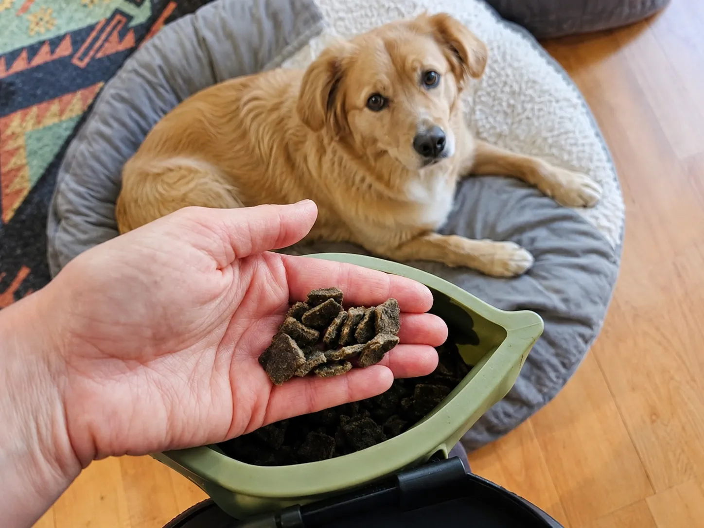 og Separation Anxiety Training Treats