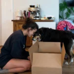 Dog Separation Anxiety After Moving