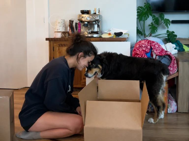 Dog Separation Anxiety After Moving